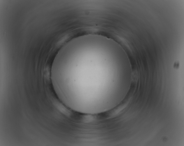 X0000094920238200712131522