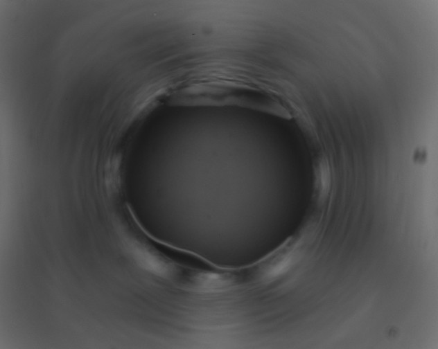 X0000094920239200712131522