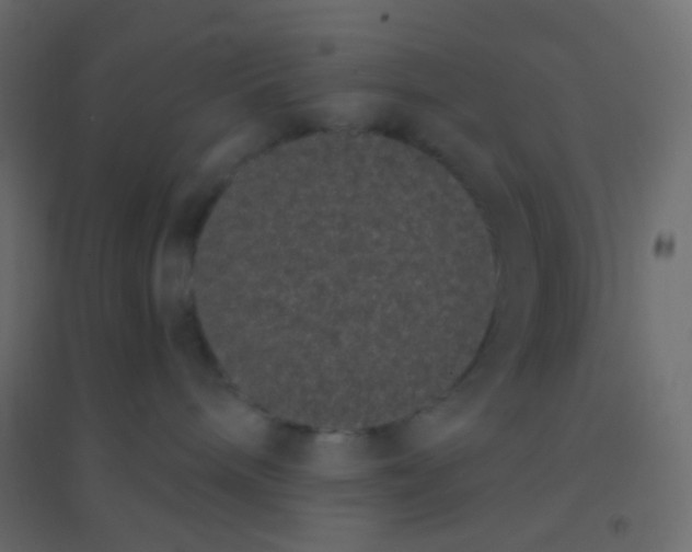 X0000094920240200712131521