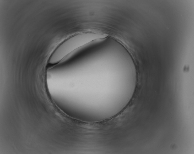 X0000094920241200712131521