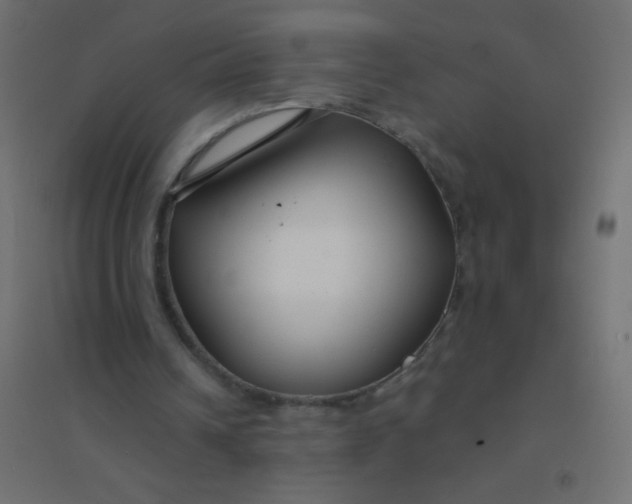 X0000094920242200712131521