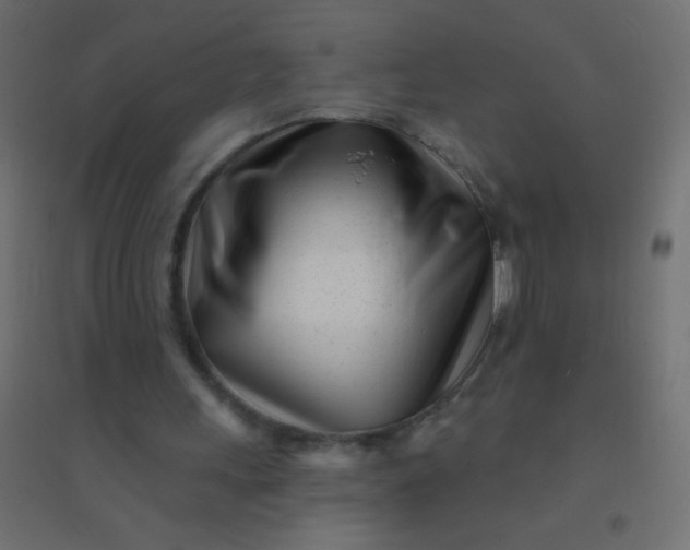 X0000094920243200712131521