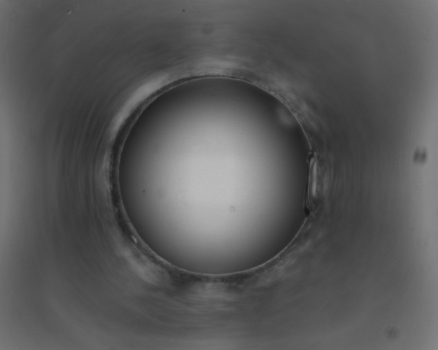 X0000094920244200712131521