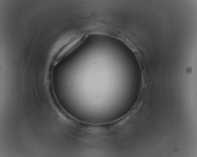 X0000094920245200712131521