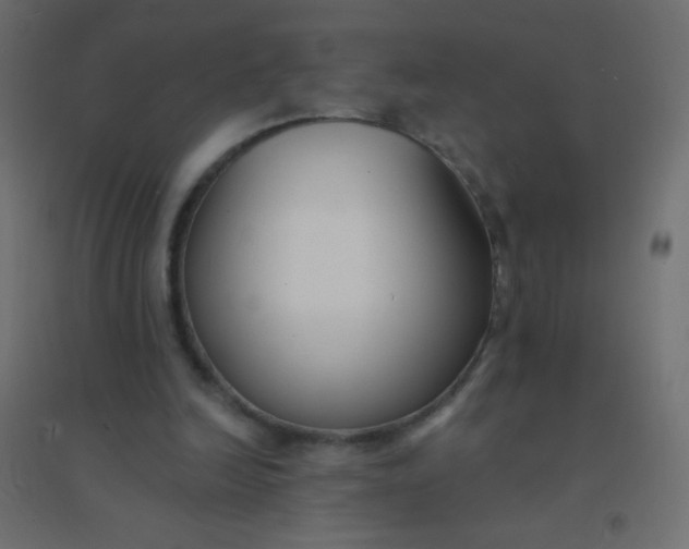 X0000094920246200712131521