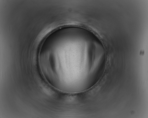 X0000094920247200712131521