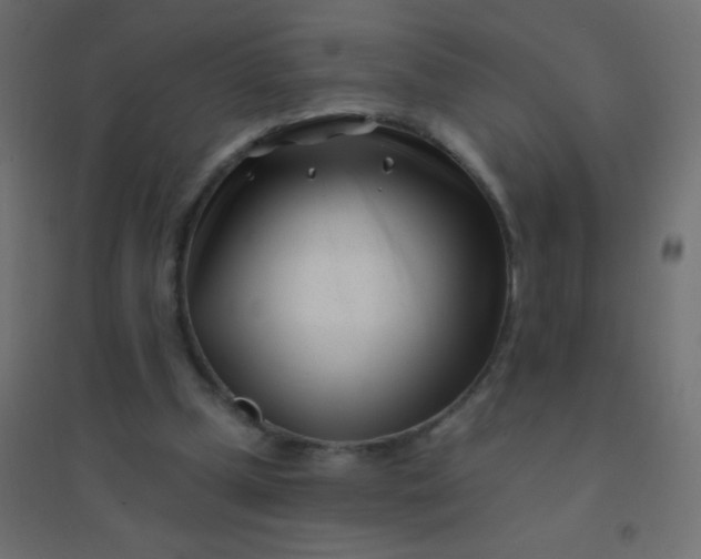 X0000094920249200712131521