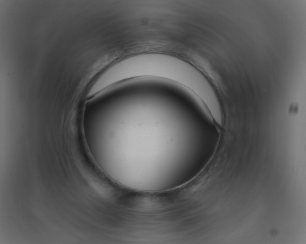 X0000094920250200712131521