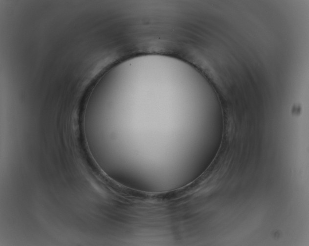 X0000094920251200712131521