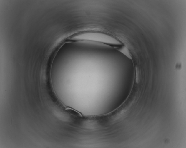 X0000094920252200712131521