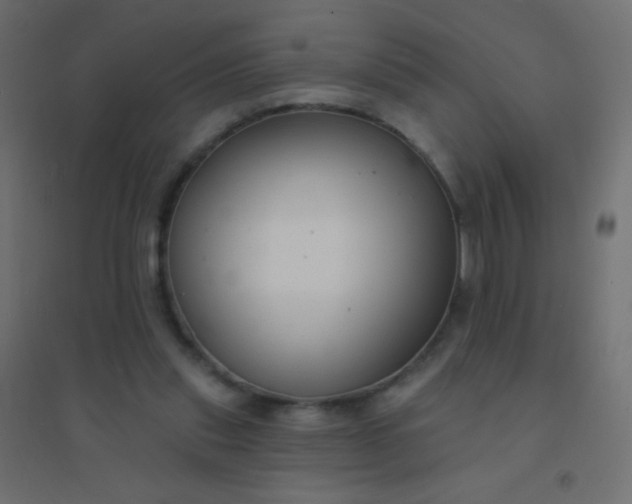 X0000094920253200712131521