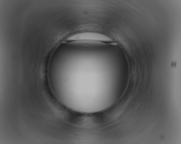 X0000094920255200712131521