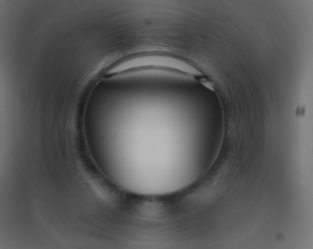 X0000094920256200712131521