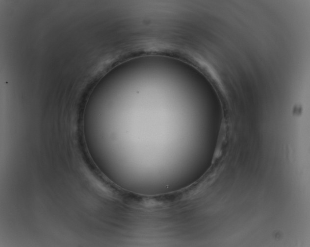 X0000094920257200712131521