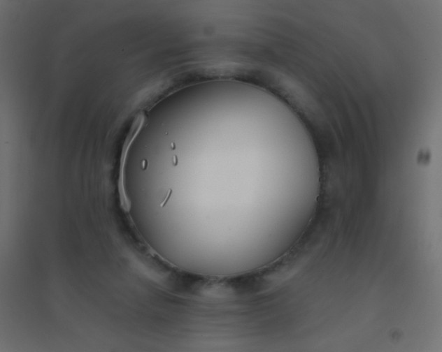 X0000094920258200712131521