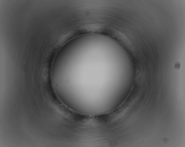 X0000094920259200712131521