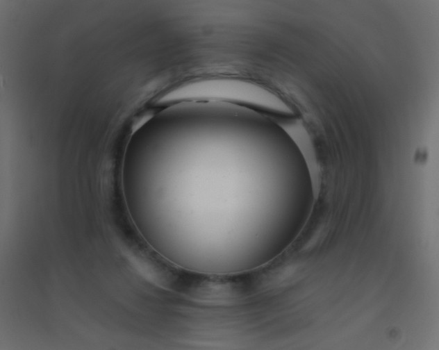 X0000094920260200712131521