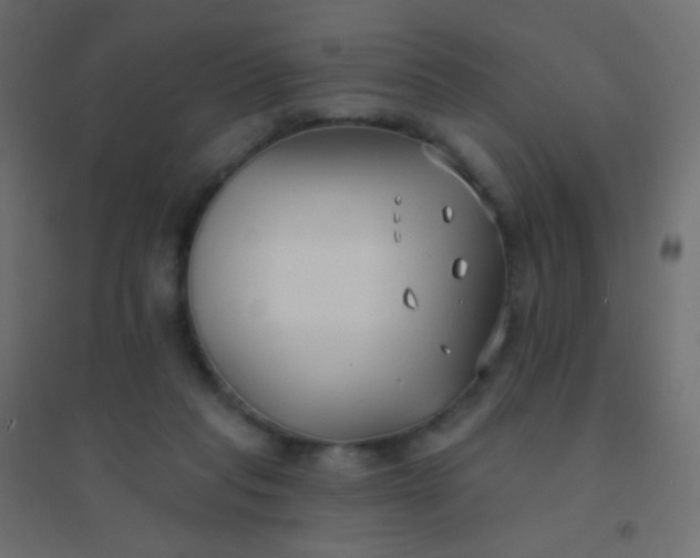 X0000094920261200712131521