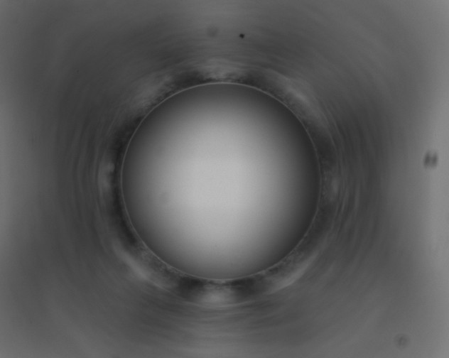 X0000094920263200712131521