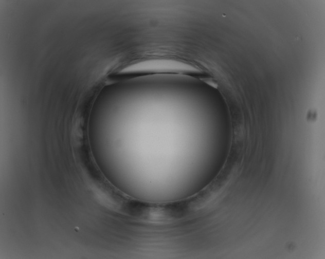 X0000094920264200712131521