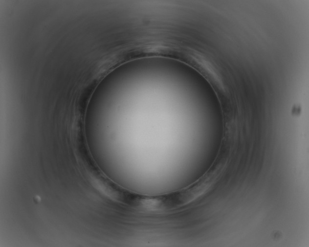 X0000094920265200712131521