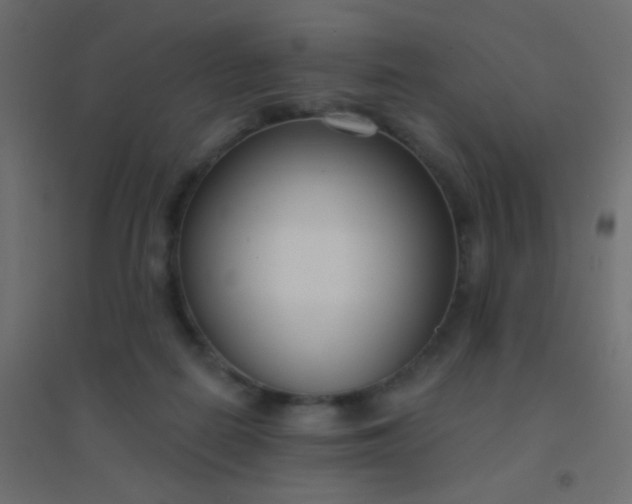 X0000094920266200712131521