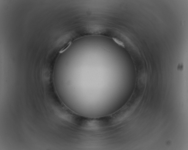 X0000094920268200712131521