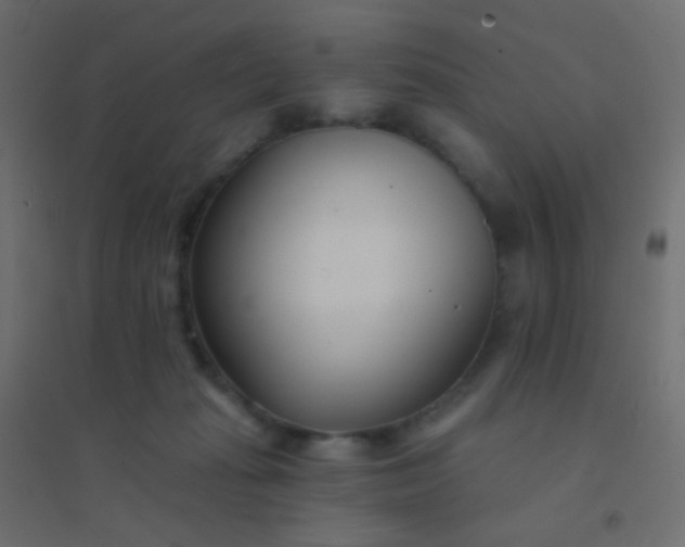 X0000094920269200712131521