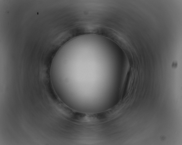 X0000094920270200712131521