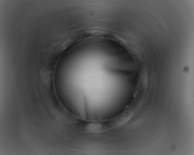 X0000094920271200712131521