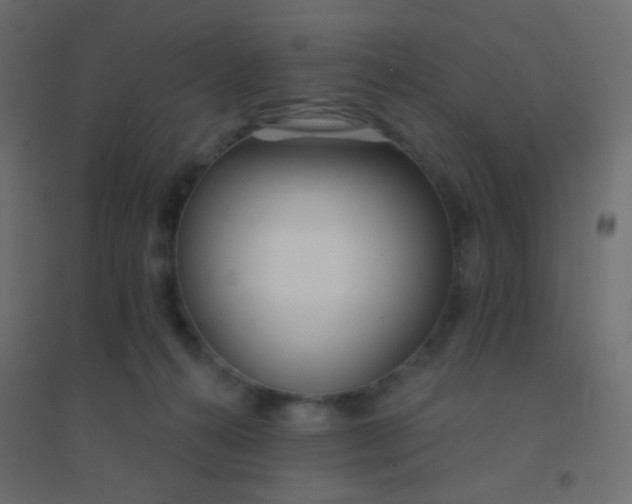 X0000094920272200712131521