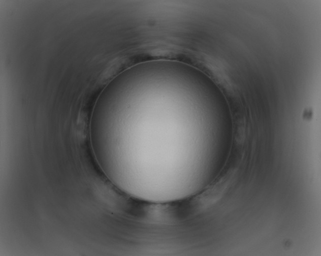 X0000094920273200712131521