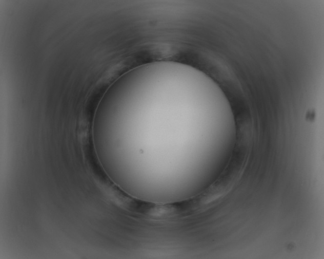 X0000094920274200712131521