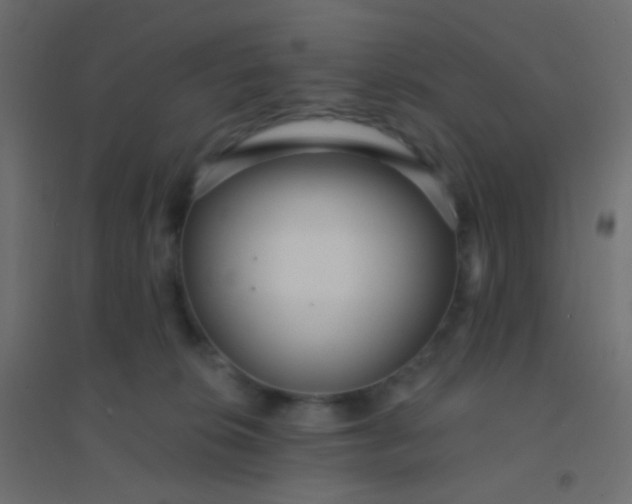 X0000094920276200712131521