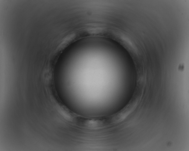 X0000094920277200712131521