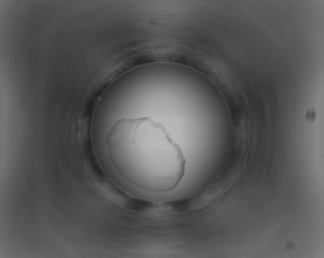 X0000094920278200712131521