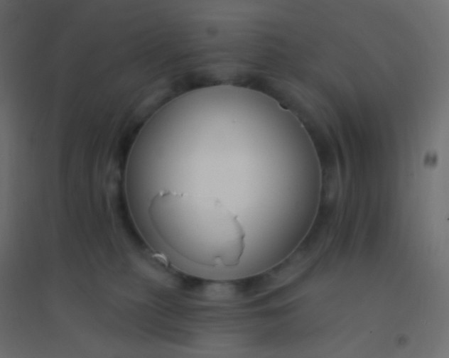 X0000094920279200712131521