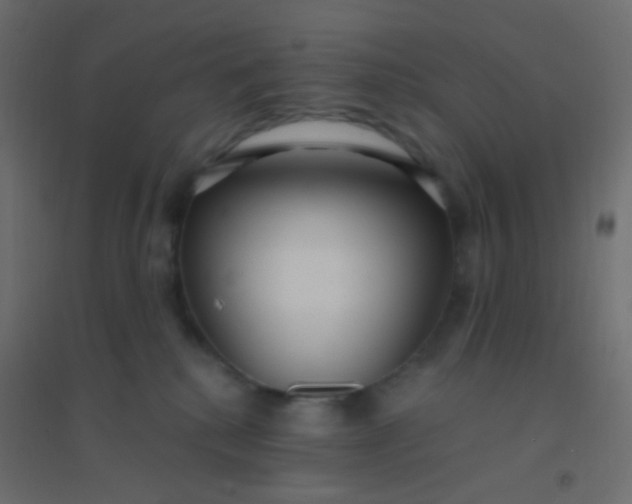 X0000094920280200712131521