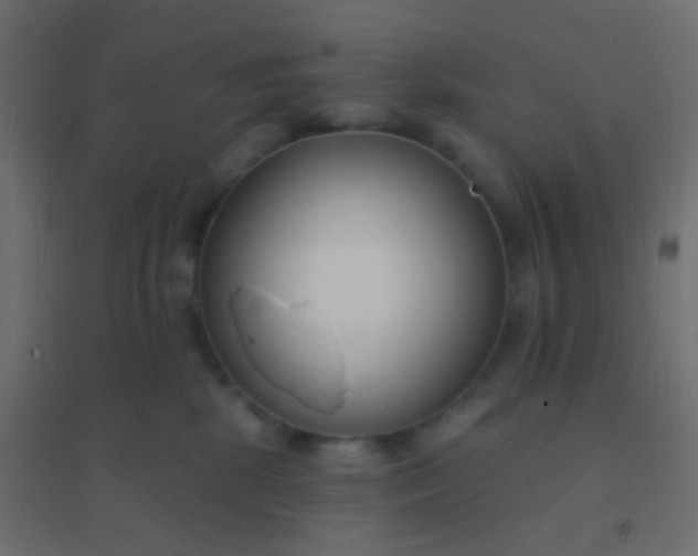 X0000094920281200712131521