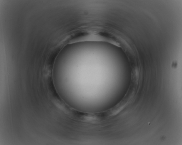 X0000094920284200712131521