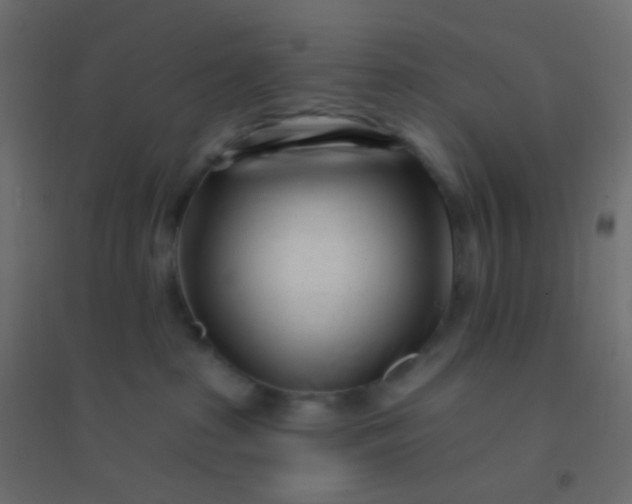 X0000094920285200712131521