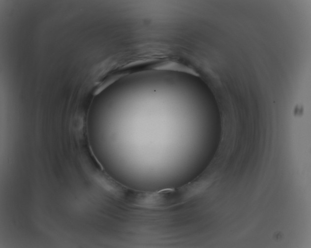 X0000094920288200712131521