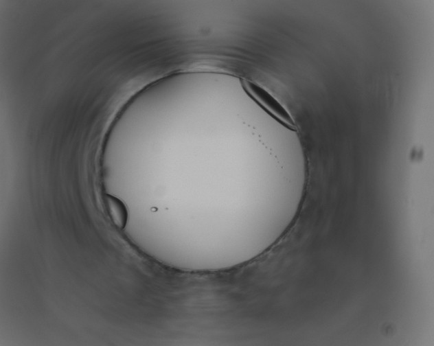 X0000094920289200712131521