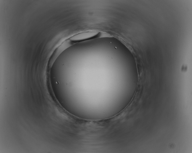 X0000094920290200712131521