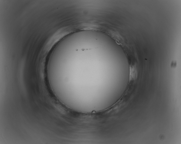 X0000094920291200712131521