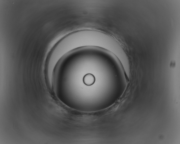 X0000094920292200712131521