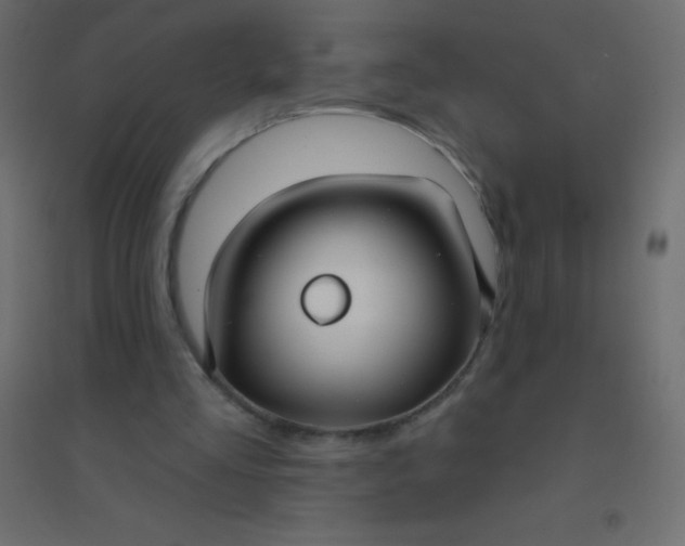 X0000094920293200712131521