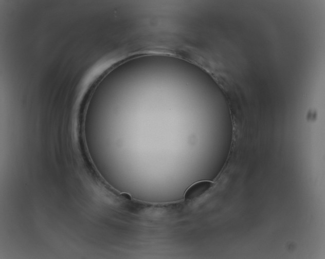 X0000094920294200712131521