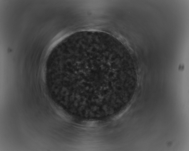 X0000094920295200712131521