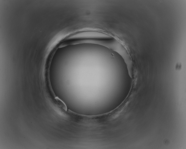 X0000094920296200712131521